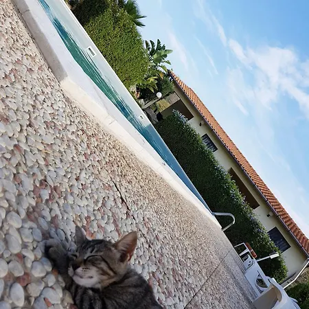 1 Zwei In 公寓 Cattolica Eraclea